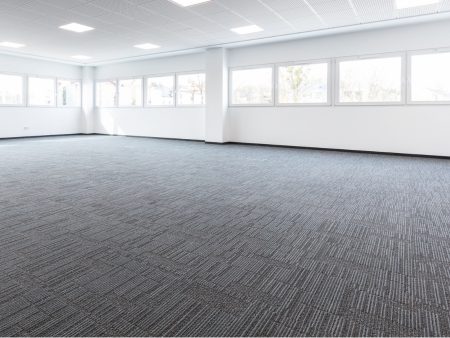 A large empty room with windows and carpet.